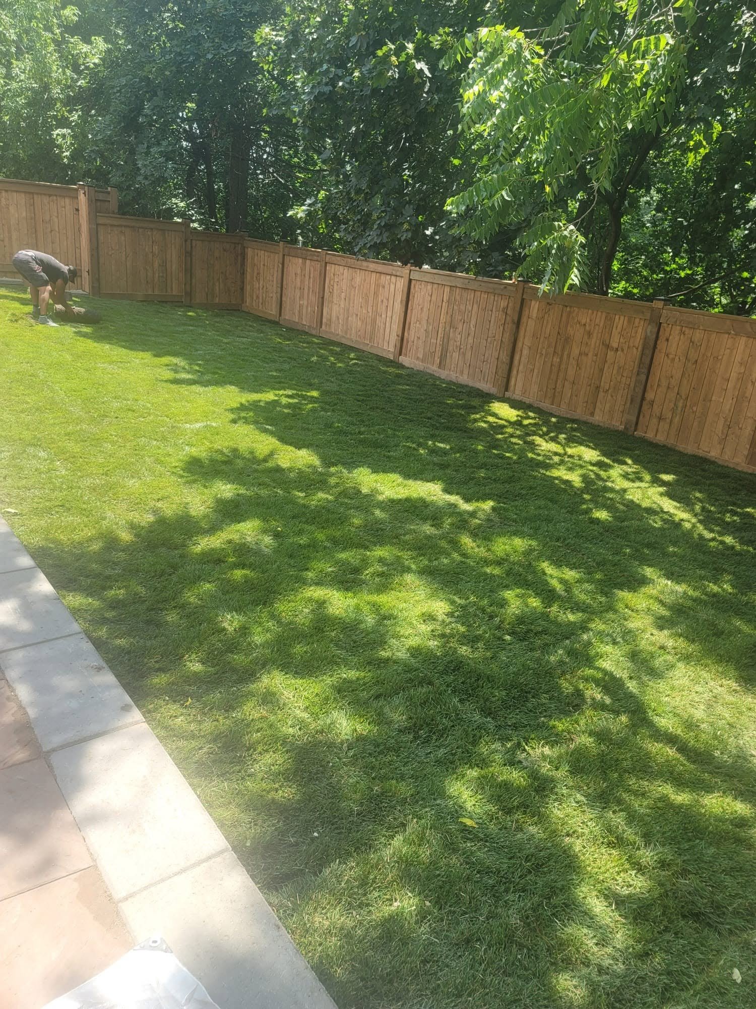 New cedar privacy fence installation